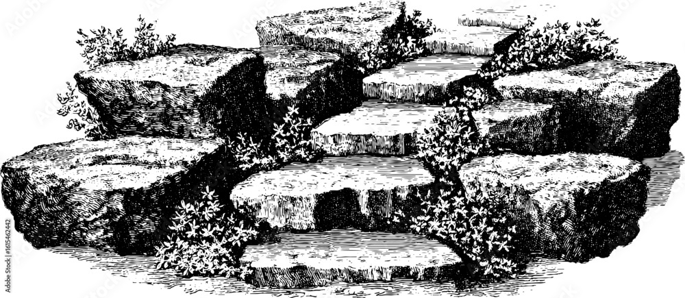 Obraz premium Vintage engraved illustration of stone path with moss for garden design