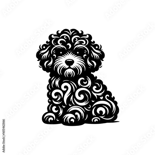 Fluffy dog with ornate curly fur isolated on white background