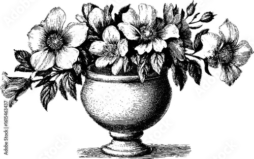 Elegant vintage engraved illustration of vase with blooming flowers for retro design