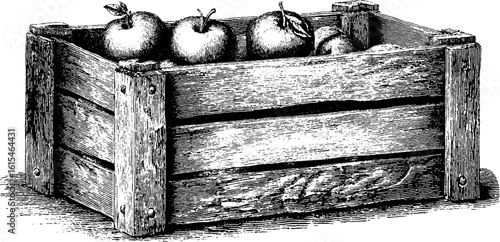 Vintage engraved illustration of wooden crate filled with apples for retro design
