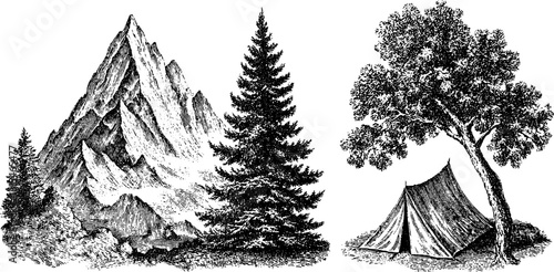 Vintage engraved mountain and pine tree scene with camping tent silhouette for retro design