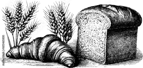 Vintage engraved illustration of wheat stalks and bread loaf for retro design and bakery art