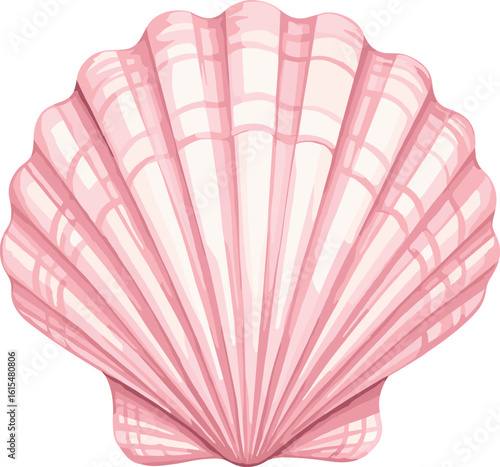 Watercolor illustration of shellfish. Animal watercolor illustration.