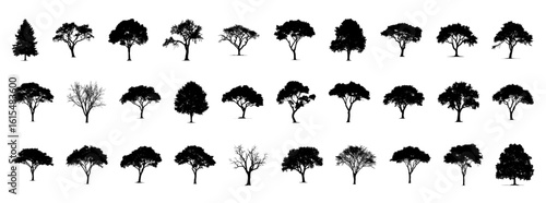Silhouette of different trees isolated on  surface