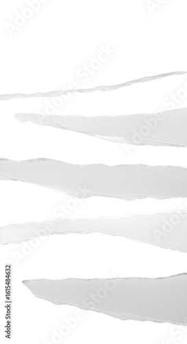 Abstract Background with Black and White Torn Paper Lines Shape Design