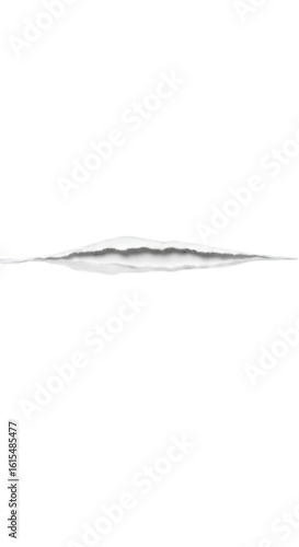 Abstract Black And White Line Illustration With Transparent Background