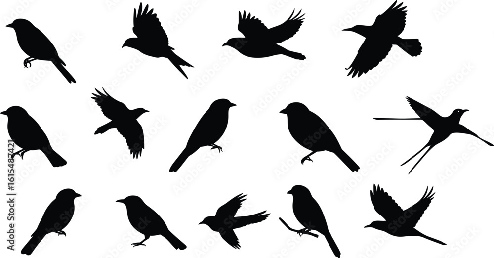Obraz premium Black silhouettes of various birds in flight and perched flying