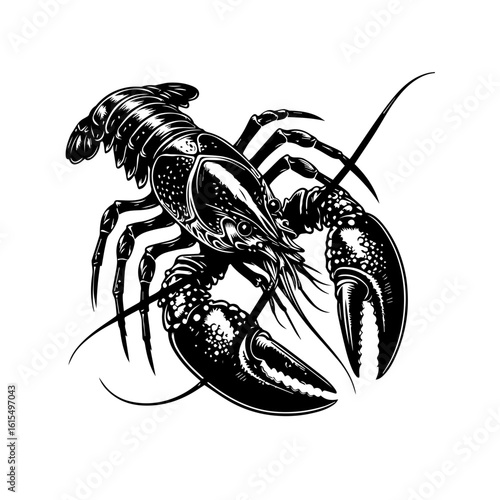 crayfish vector illustration
