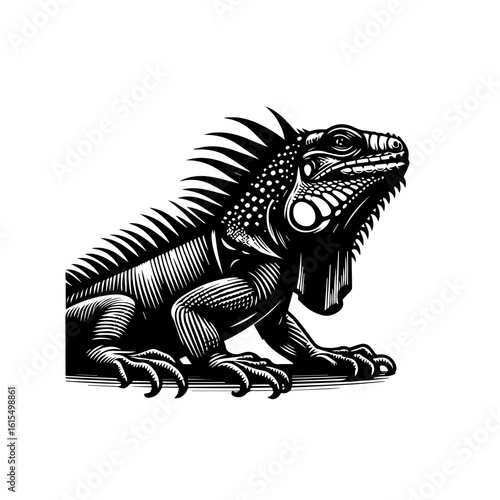 vector illustration of a dragon