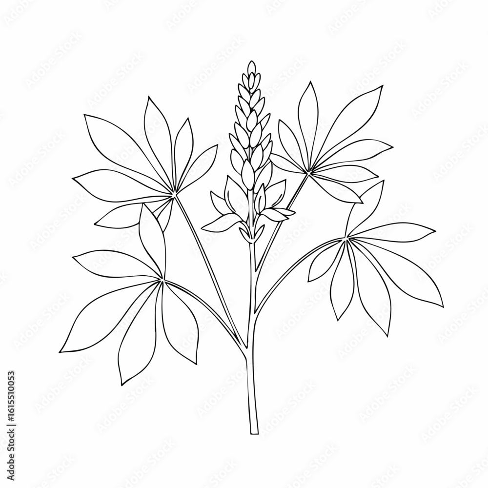 Obraz premium Detailed Line Art of a Wildflower with Elaborate Leaves