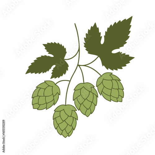 Stylized Hop Branch with Cones and Leaf, Green Tones, Isolated