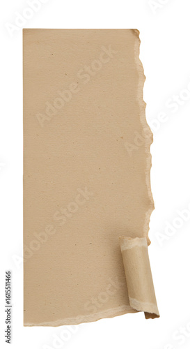 Abstract Isolated Torn Brown Paper Edge With Transparent Background