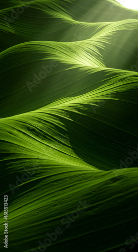 Abstract Green Wave Background with Light Rays Illustration