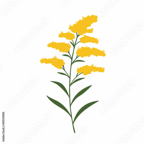 Vibrant Yellow Flower with Simple Green Leaves