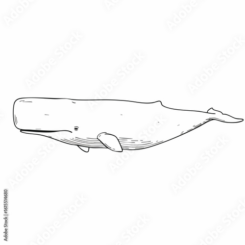 Detailed Black and White Illustration of a Sperm Whale Swimming