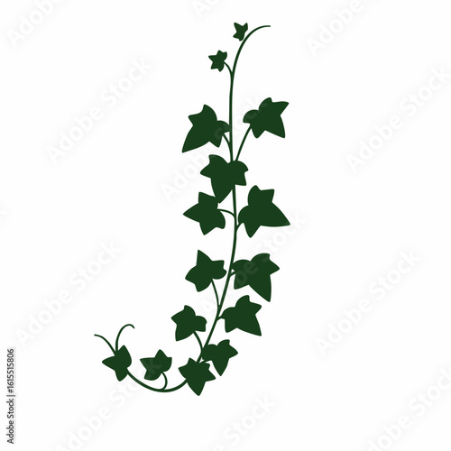 Dark Green Ivy Silhouette: Elegant J-Shaped Vine with Detailed Leaves