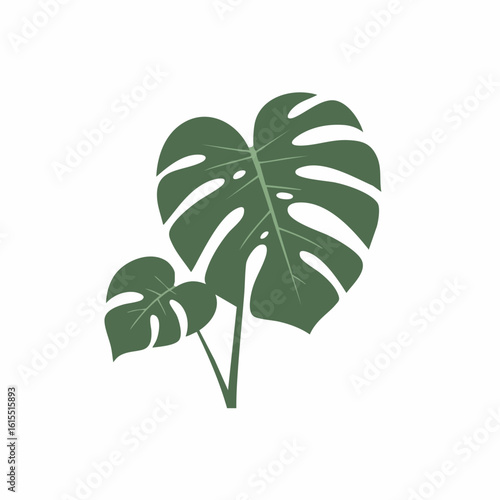 Stylized Monstera Plant with Two Leaves and Visible Veins in Olive Green