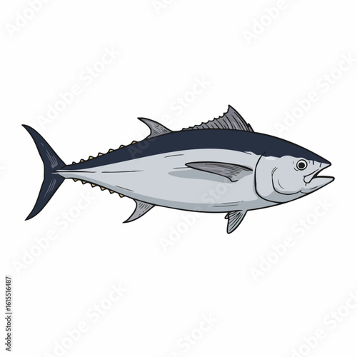 Detailed Illustration of a Tuna Fish with Distinctive Dorsal Fin and Streamlined Body