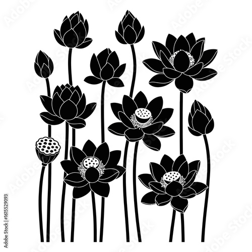 Set of stylized lotuses. Collection of lotus flowers flat design