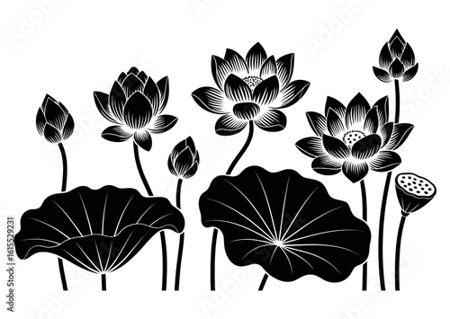 Set of lotus silhouette on isolated