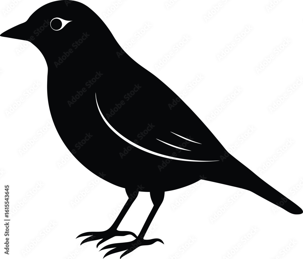 Fototapeta premium black silhouette a bird on white background.eps