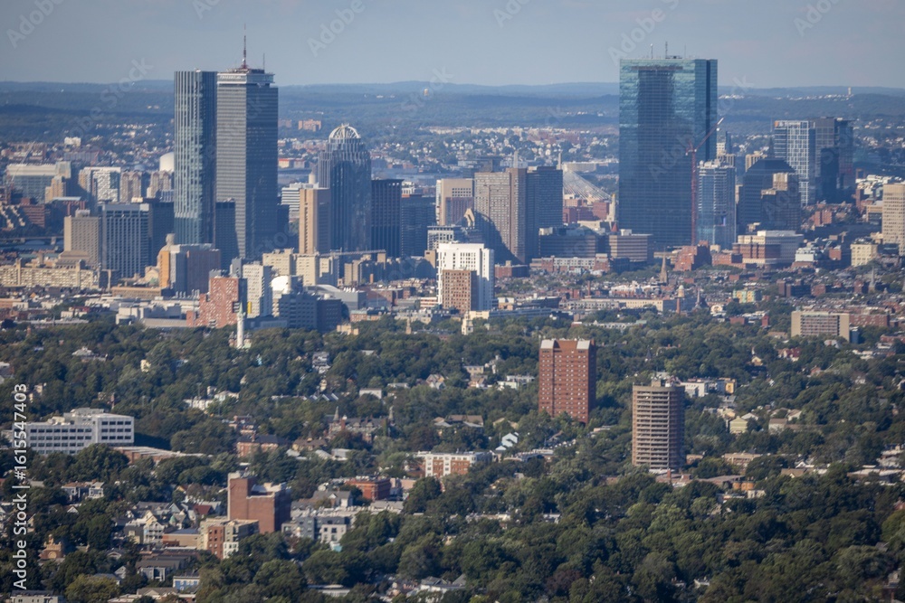 Fototapeta premium Boston skyline with skyscrapers and greenery.