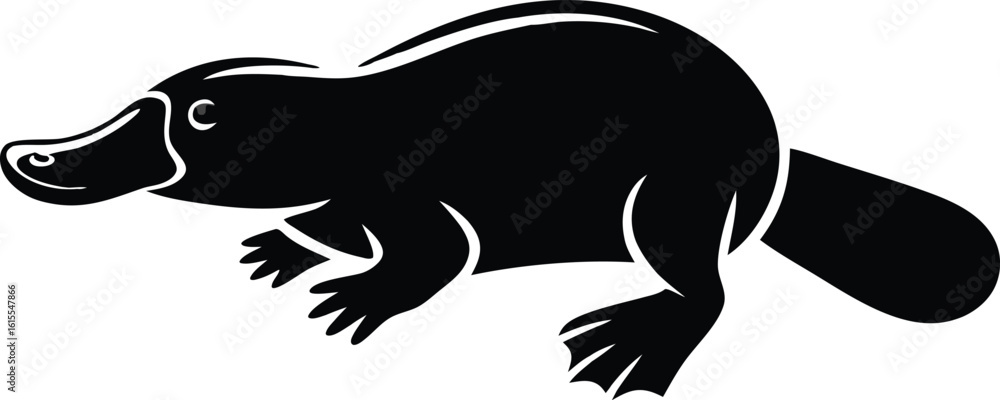 Fototapeta premium Monochrome Platypus Illustration