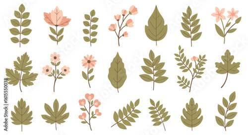 Flat Botanical & Floral Collection