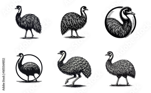 Emu hand draw engrave icon design black white
