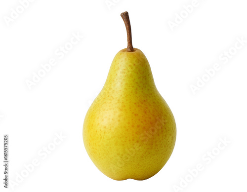 Cuadro en lienzo Single whole pear with fuzzy skin for food packaging, healthy diet visuals, or t