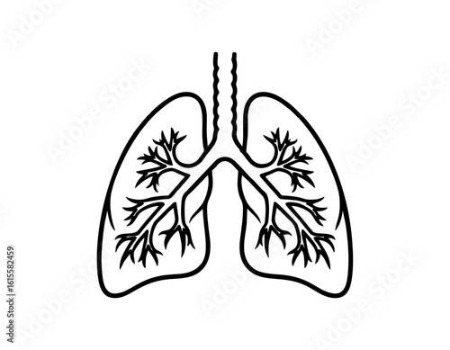 Monocolor icon of lungs with bronchial tree, line style
