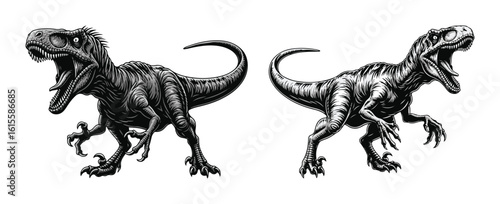 Two aggressive roaring raptor dinosaurs vector illustration