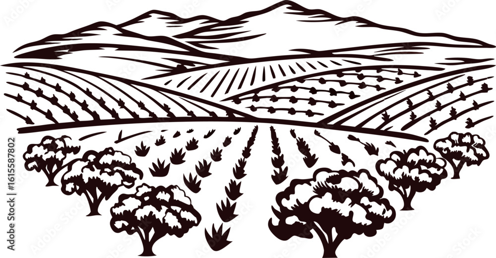 Fototapeta premium Hand drawn agricultural landscape with mountains, fields, and trees in vintage engraved illustration