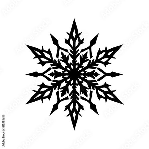 snowflake with intricate details vector art