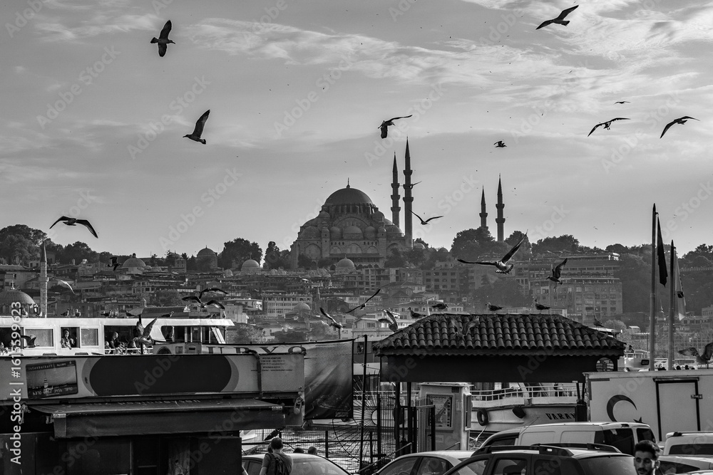 Fototapeta premium Seagulls flying over istanbul cityscape with suleymaniye mosque in black and white