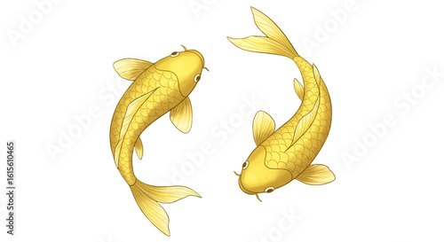Gold Koi Fish Illustration With Transparent Background Aquatic Design