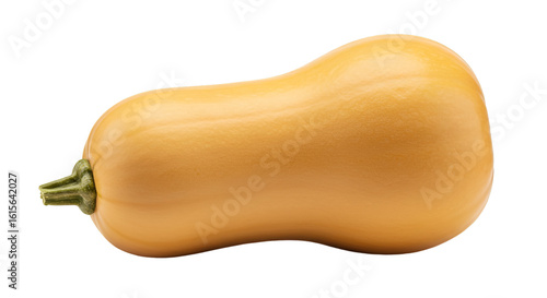Isolated Butternut Squash Illustration On Transparent Background Healthy Food