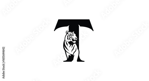 Versatile vector graphic design featuring a blend of geometric shapes and text elements using a vibrant cmyk color palette and standard fonts silhouette