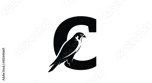 Versatile vector design featuring bold geometric shapes and clean typography utilizing cmyk and grayscale color palettes silhouette