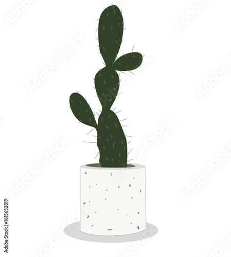 cactus in a vase.green cactus in a pot.