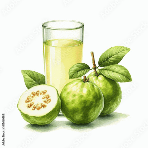 Essence of Vitality Guava juice isolated watercolor vector illustration svg