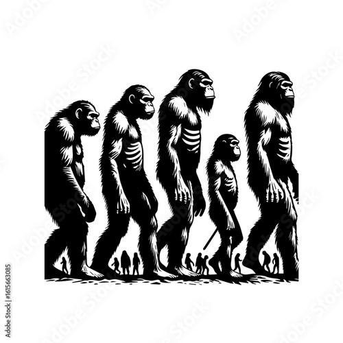 Stylized Silhouette of Primate Evolution from Ape to Human.