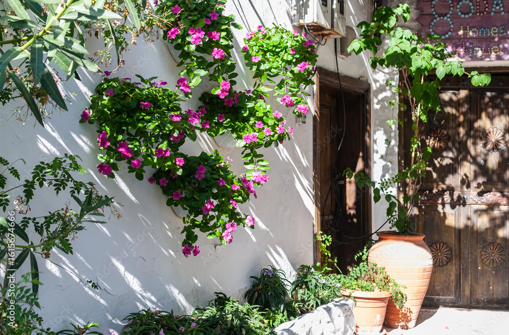 Naklejka premium Entrance to an old house with flowers and greenery on a white wall. Charming narrow street with flowers in the old town of Marmaris. 