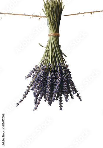 Isolated Photo Of Dried Lavender Bunch On Transparent Background
