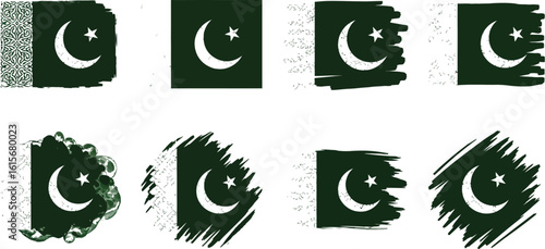 Pakistan flag grunge vector set