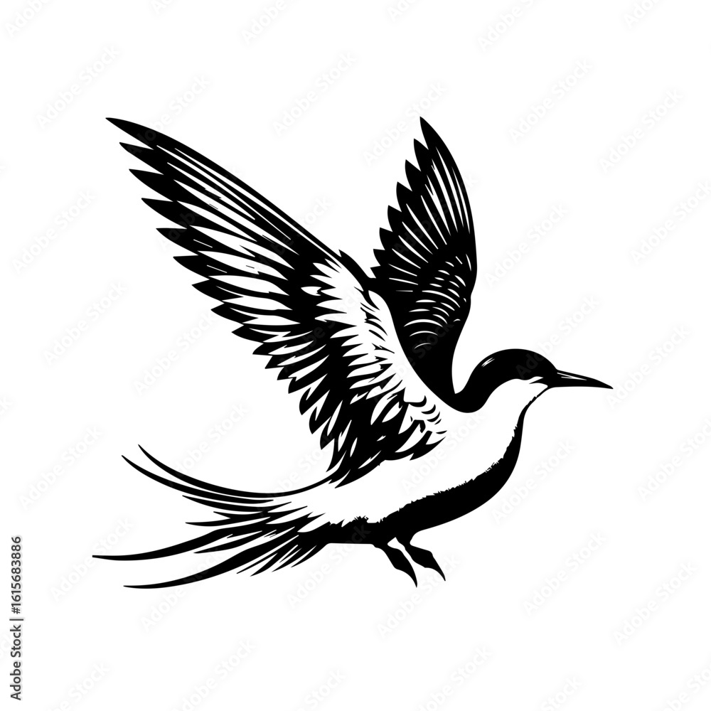 Obraz premium Elegant Black and White Silhouette of a Tern in Flight.