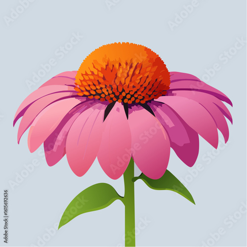 Detailed Illustration of a Coneflower with Striking Pink Petals and Vibrant Orange Center