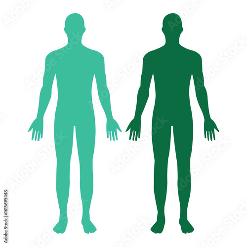 Dual human silhouettes in gradient vector style