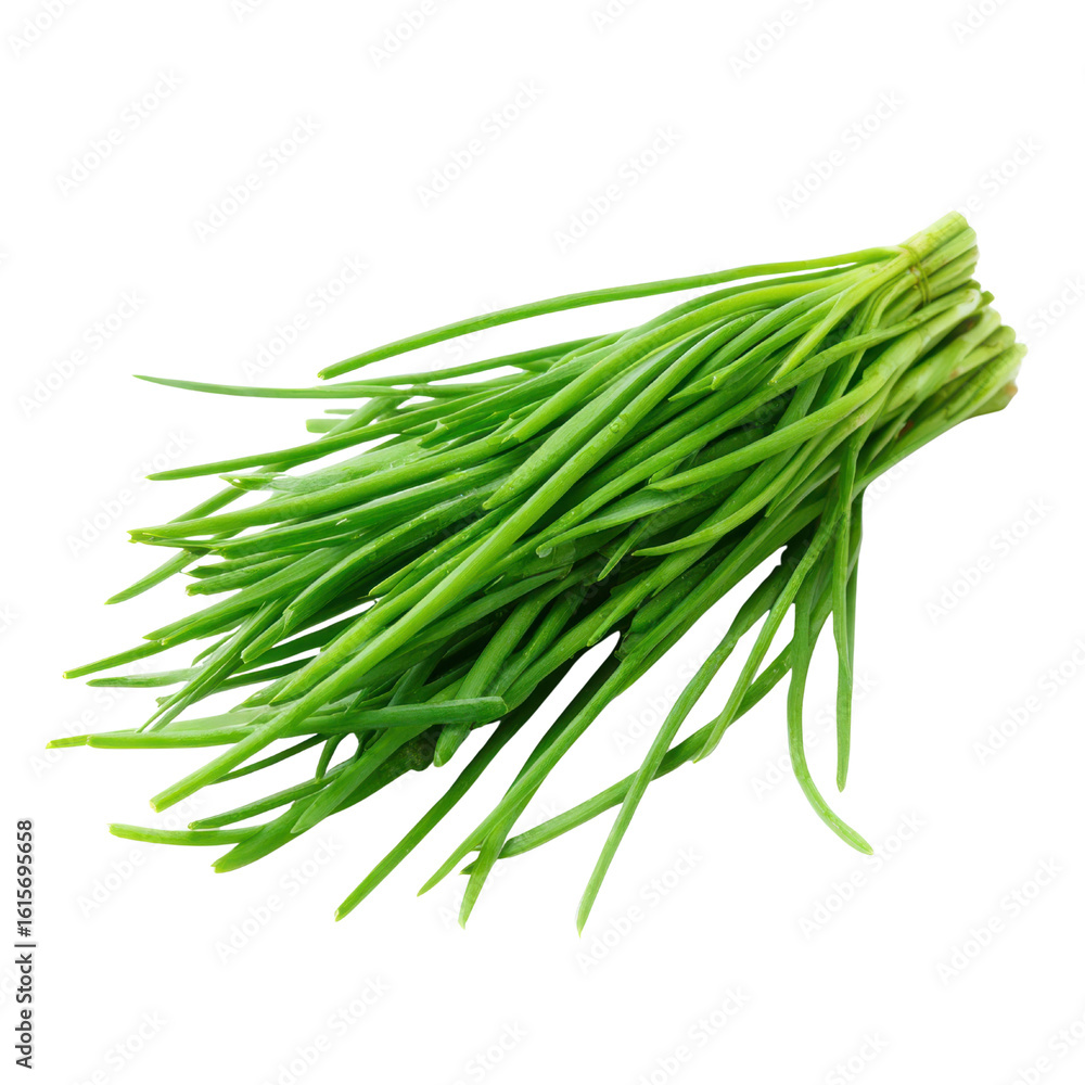 Vibrant green chives bunch fresh herb vegetable, Isolated On Png Transparent Background Vibrant green chives bunch fresh herb vegetable, Isolated On Png Transparent Background