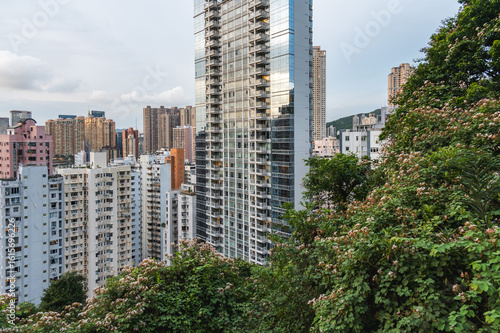 Fototapeta View to the skyscarpers of Hong Kong from Blue Pool Road